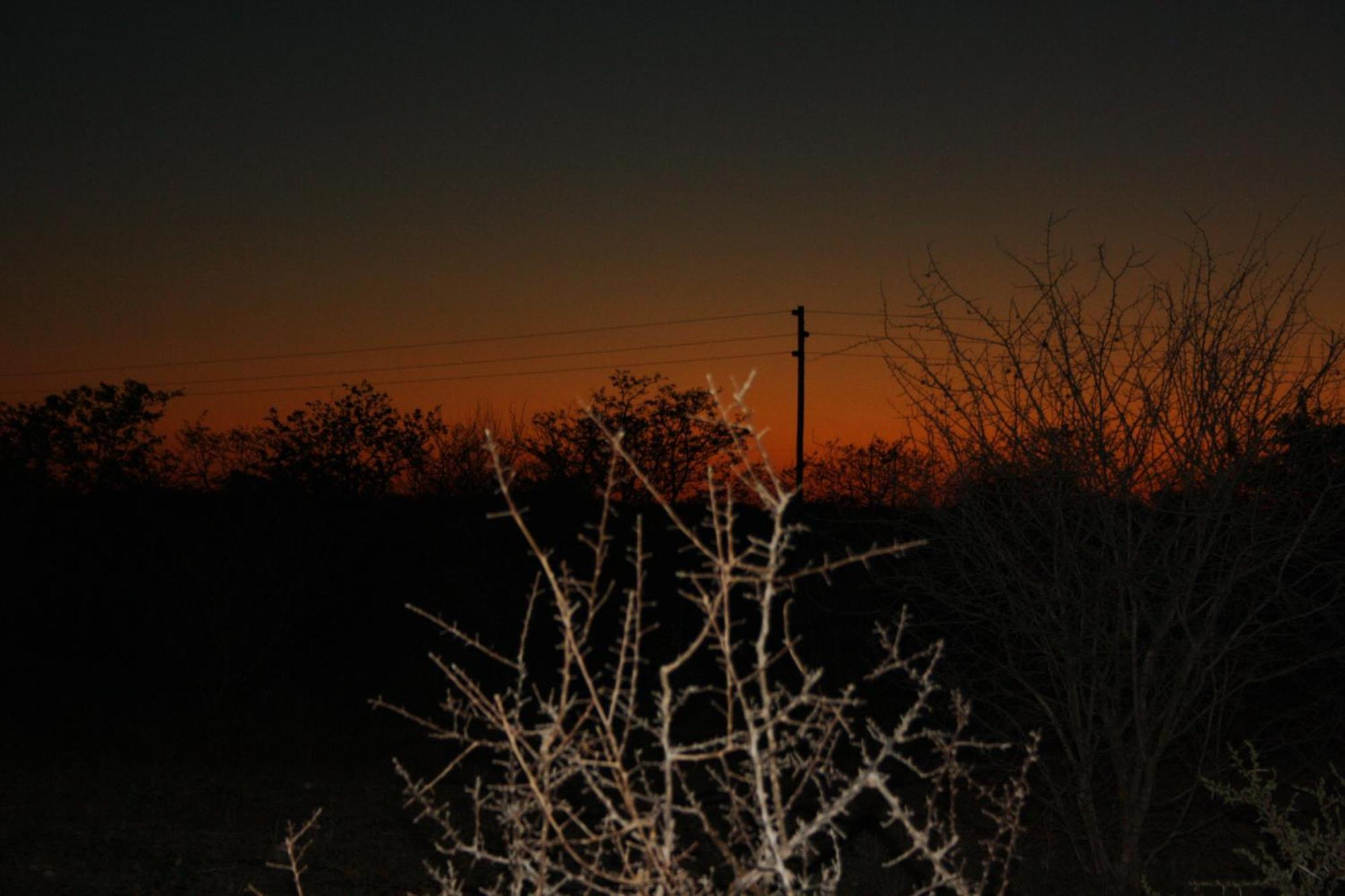 Normann Safari Bush Lodge Phalaborwa Dış mekan fotoğraf