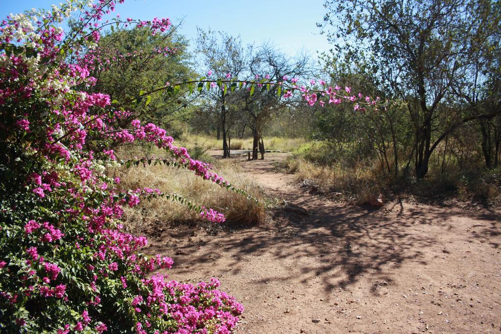 Normann Safari Bush Lodge Phalaborwa Dış mekan fotoğraf
